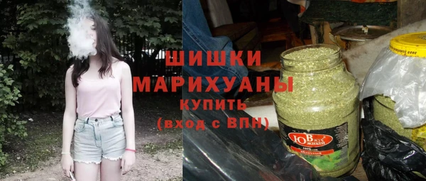 шишки Алзамай