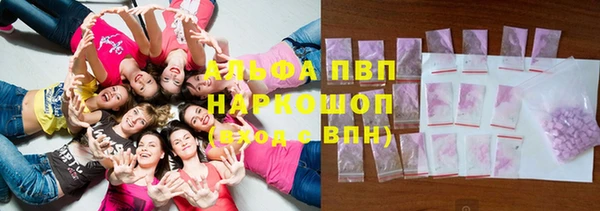 шишки Алзамай