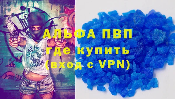 стаф Абинск