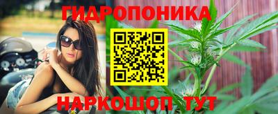 дживик Донской